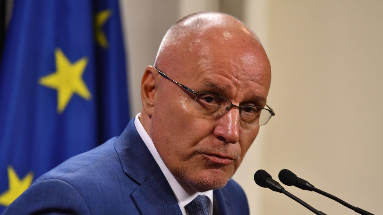 Димитър Радев: БНБ няма да загуби валутните си резерви при влизането в еврозоната