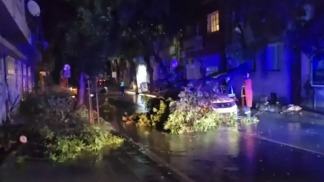 Дърво падна върху такси в Благоевград