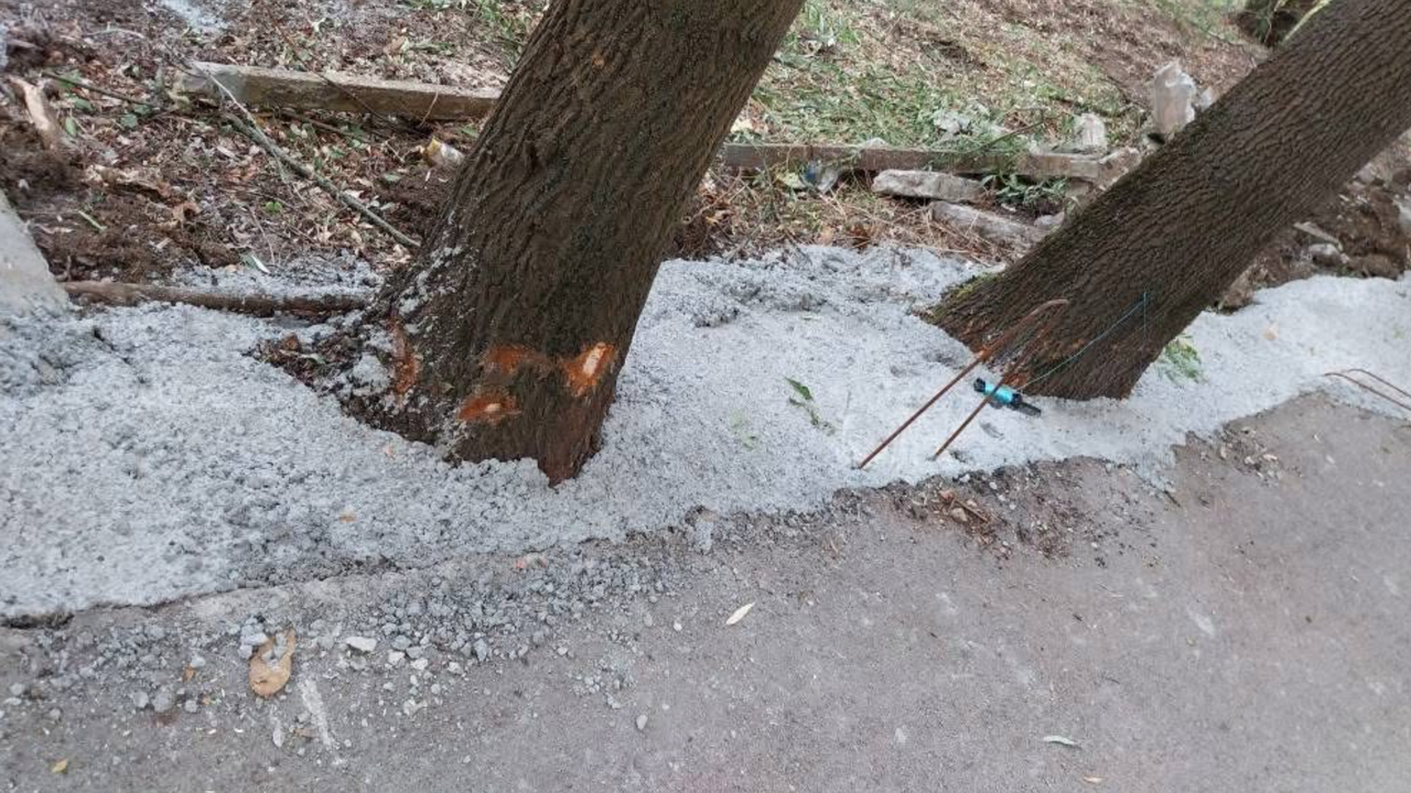 Глоба в максимален размер от 5 000 лв. и предписание