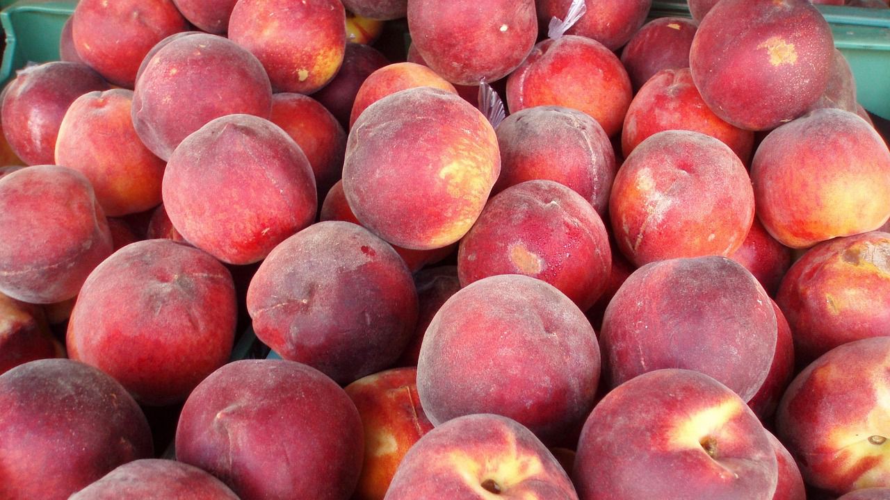 Хърватия и Босна и Херцеговина спряха доставки на праскови от Албания заради опасни вещества