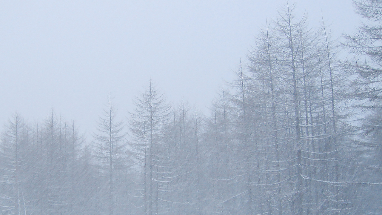 Близо 1000 души са блокирани от тибетската страна на Еверест заради виелица