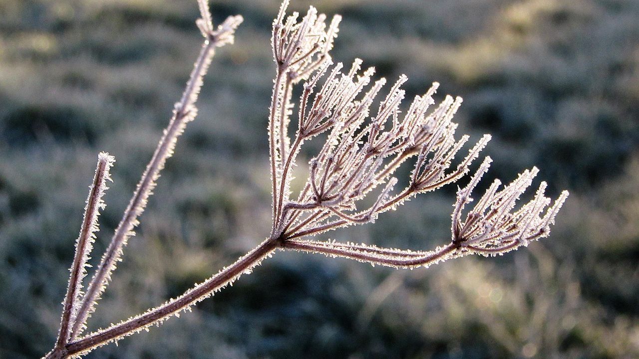 Атмосферното налягане слабо ще се понижи и ще е по-ниско