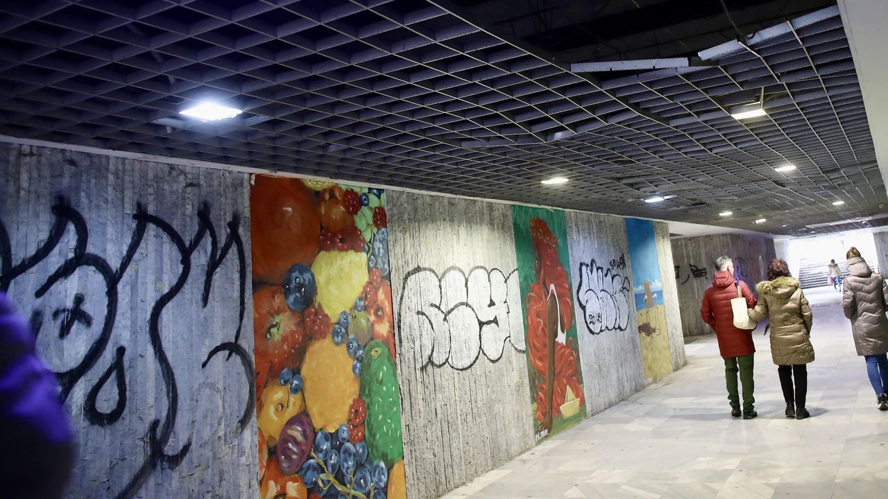 Състоянието на подлеза под Цариградско шосе, свързващ двете спирки на