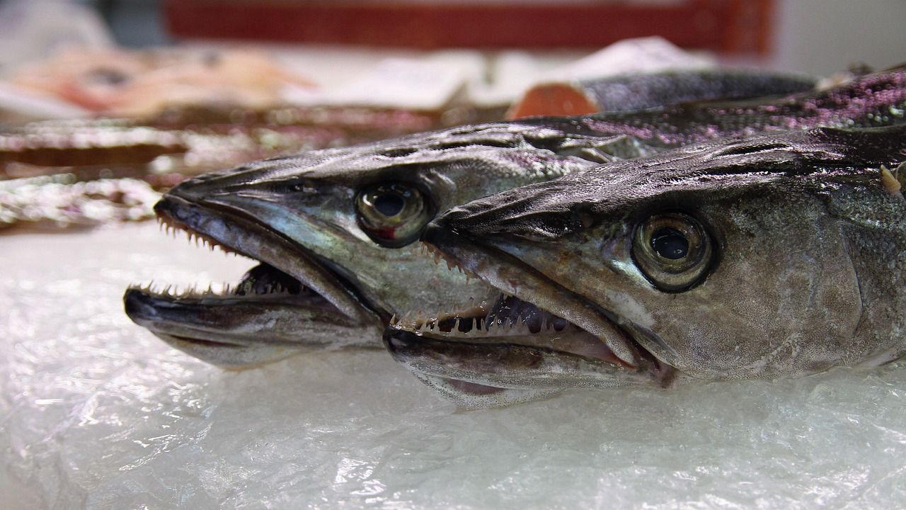 Сайтът за цените на храните вече показва къде е най-евтино. Има, обаче, и един недостатък