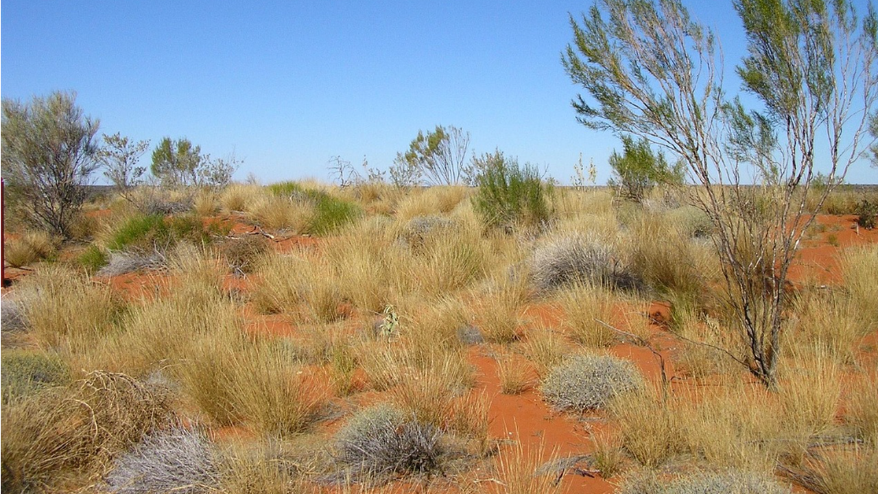 Ново проучване поставя под въпрос хипотезата, че коренните австралийци са изтребили мегафауната в резултат на ловната си дейност