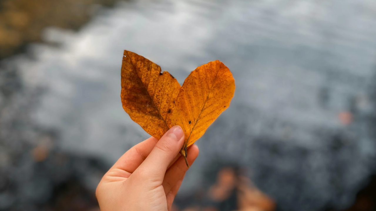 Какво ще е времето утре