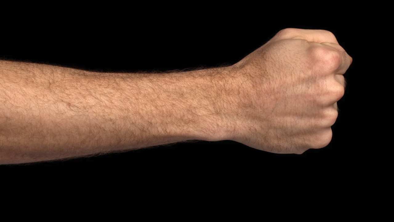 Масов бой в Плевен