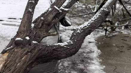 Разчистват паднали дървета и камъни в дефилето Варвара - Велинград