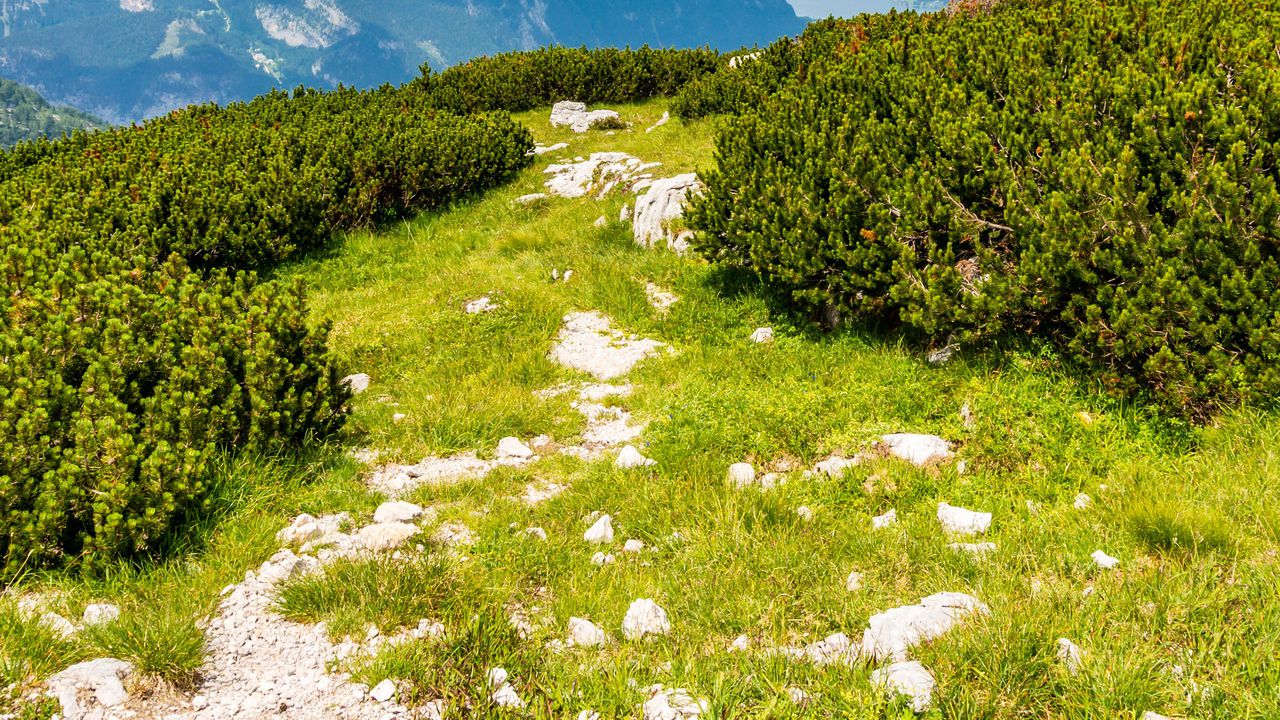 Планинските спасители са помогнали на мъж и жена, които са се загубили в района над Нови хан