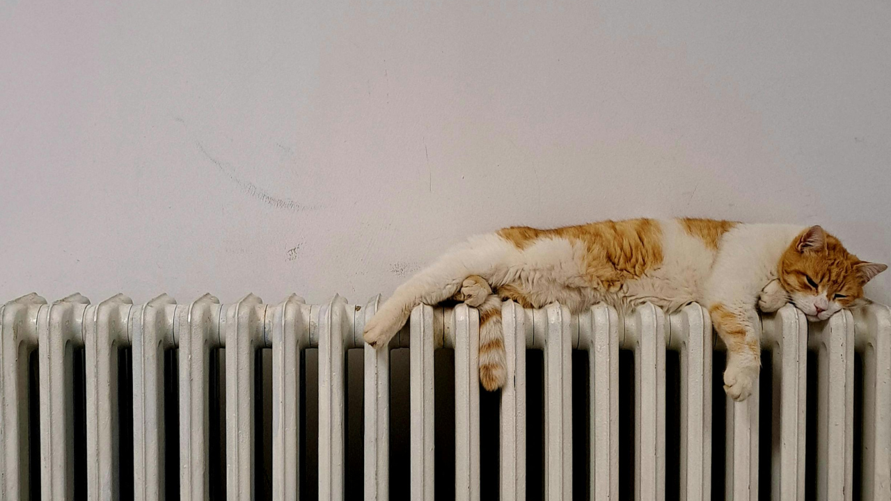 "Топлофикация Перник" започва поетапно пускане на парното