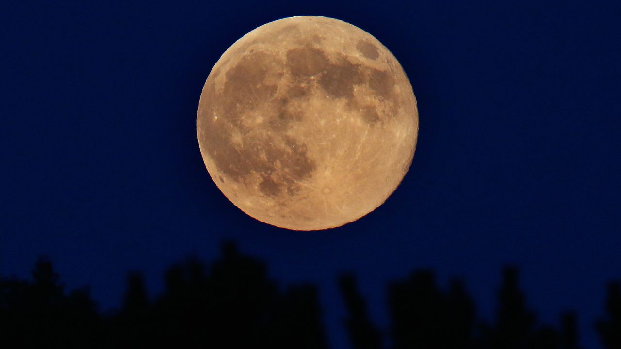 Небесен спектакъл: Наблюдаваме жътварска суперлуна