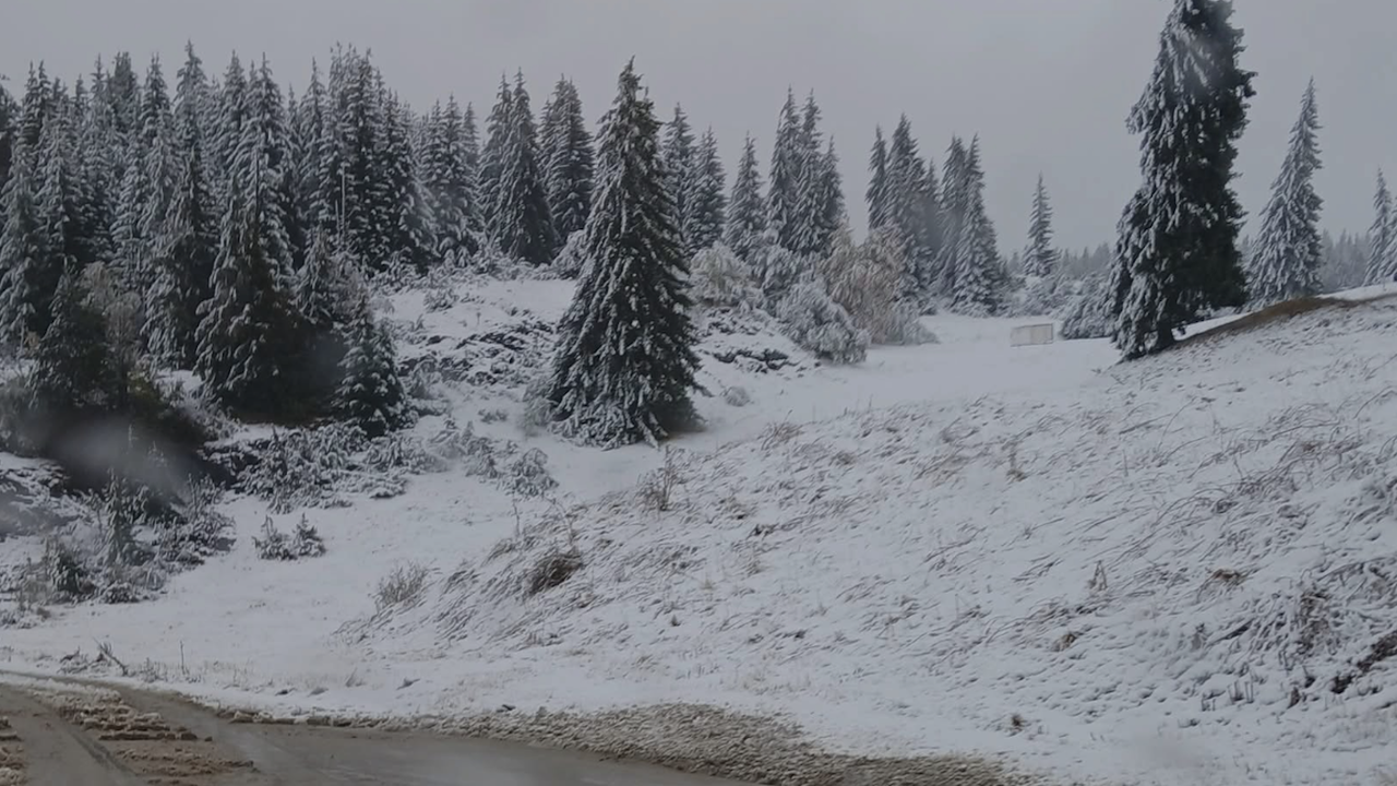 Сняг и мъгла блокират Родопите