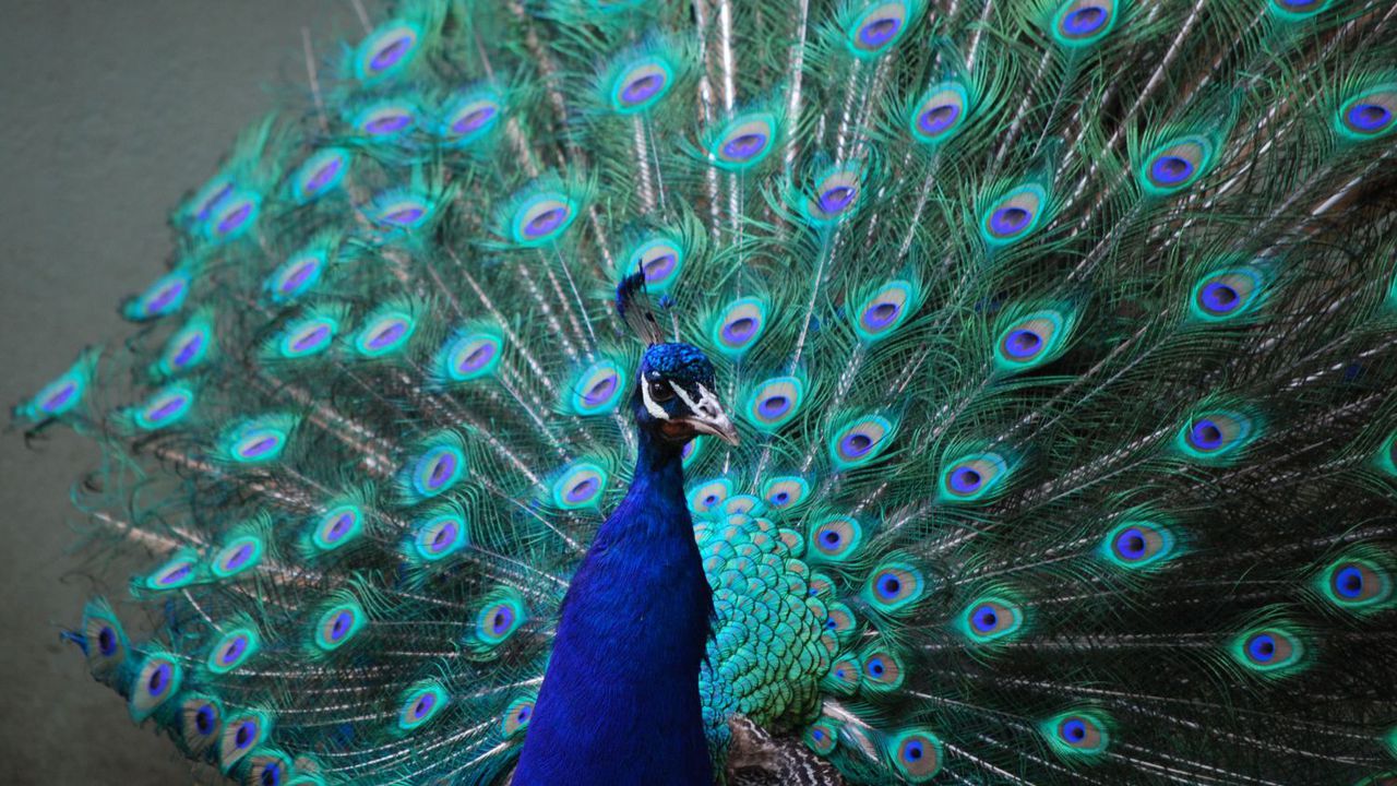 Как да разпознаем емоционално зрелия човек