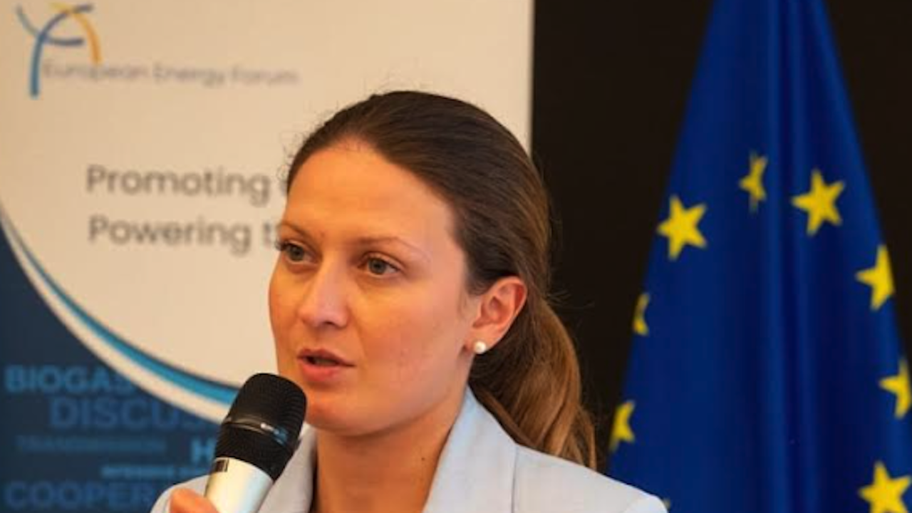 На прага на еврозоната: Насадило се е едно внушение, че едва ли не държавата и институциите няма да си свършат работата