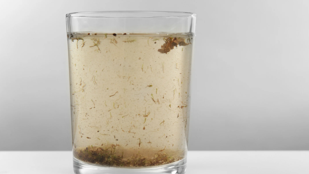 В Китен и Свети Влас  не пийте вода от чешмата! С влошени показатели е