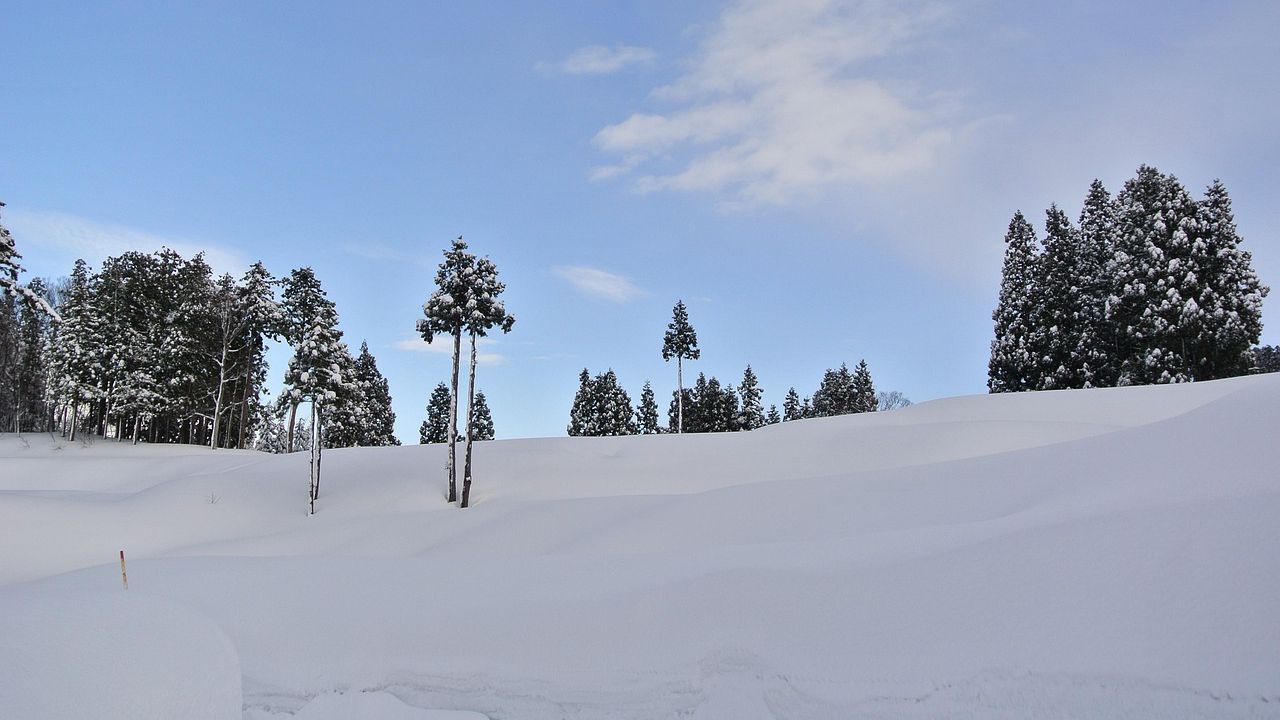 10 см сняг на Паничище