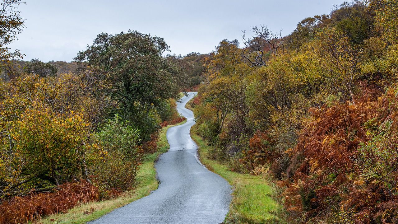 Шофьорите се движат с повишено внимание по пътя Паскалево – Добрич след дъжда
