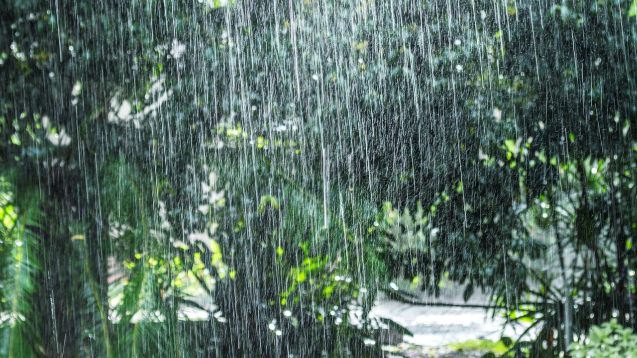 В Ловешка област най-много дъжд е паднал в троянското село Черни Осъм – 80 л/кв. м