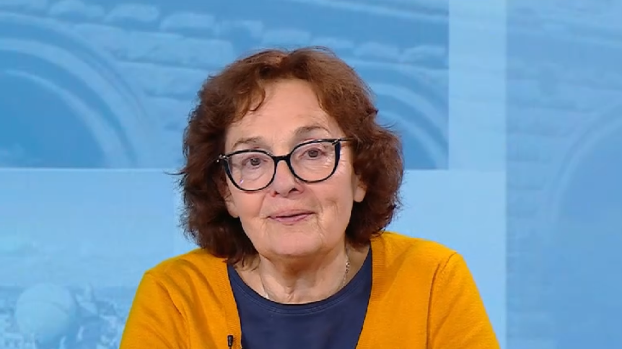 Проф. Коларова: Радев не спира да предизвиква скандали и да дестабилизира страната