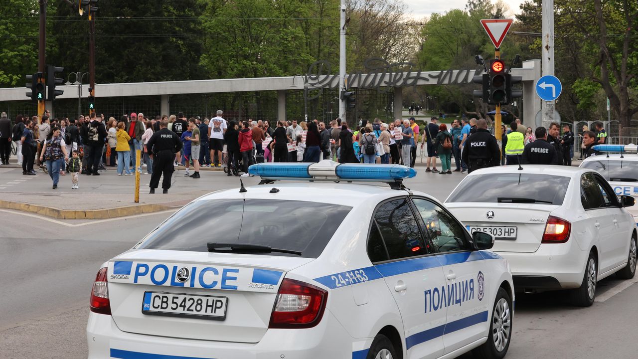 Няколко протеста в София през деня