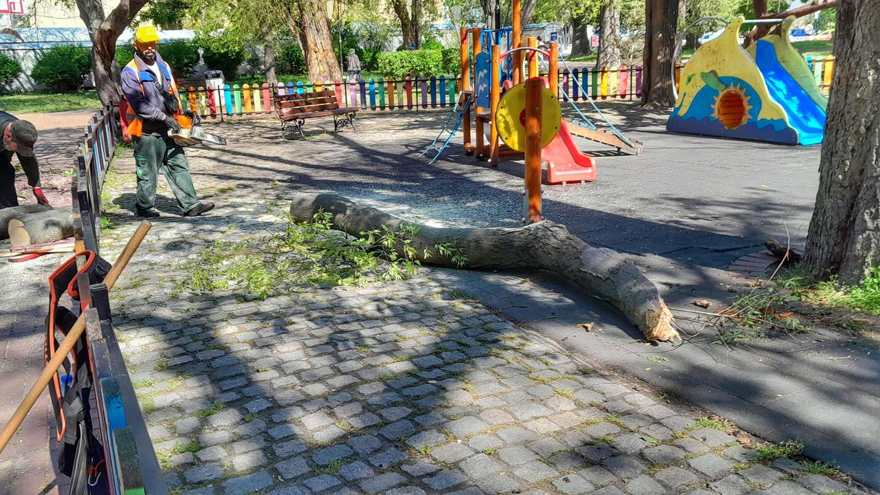 Клон падна върху детска площадка във Варна
