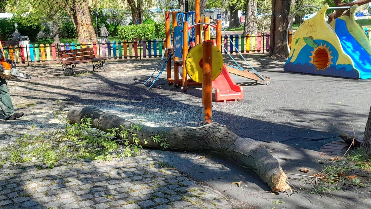 Клон падна върху детска площадка във Варна