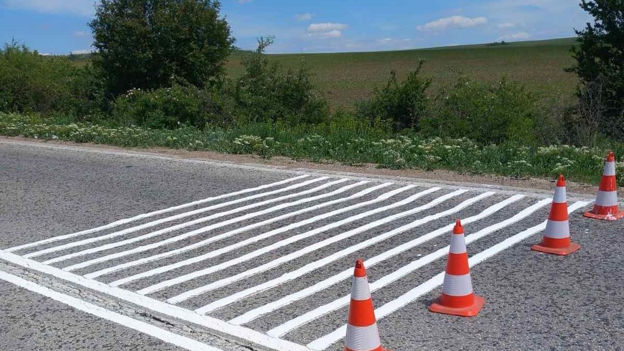 Полагане на пътна маркировка край Телиш - АПИ