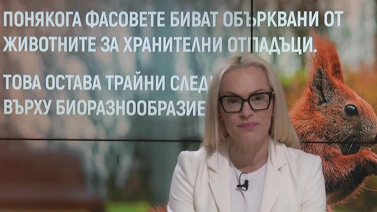 Култура, общност и отговорност: Как АртПоток променя картинката на Южното Черноморие
