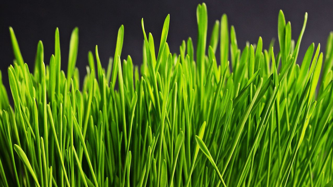 Учени от САЩ съвместно с колеги от Китай са открили,