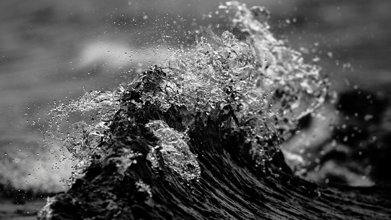 Морето през август традиционно е опасно заради появата на силни