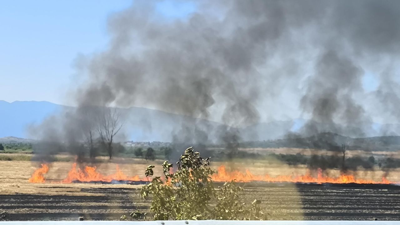 Пожар на АМ "Тракия" - Булфото