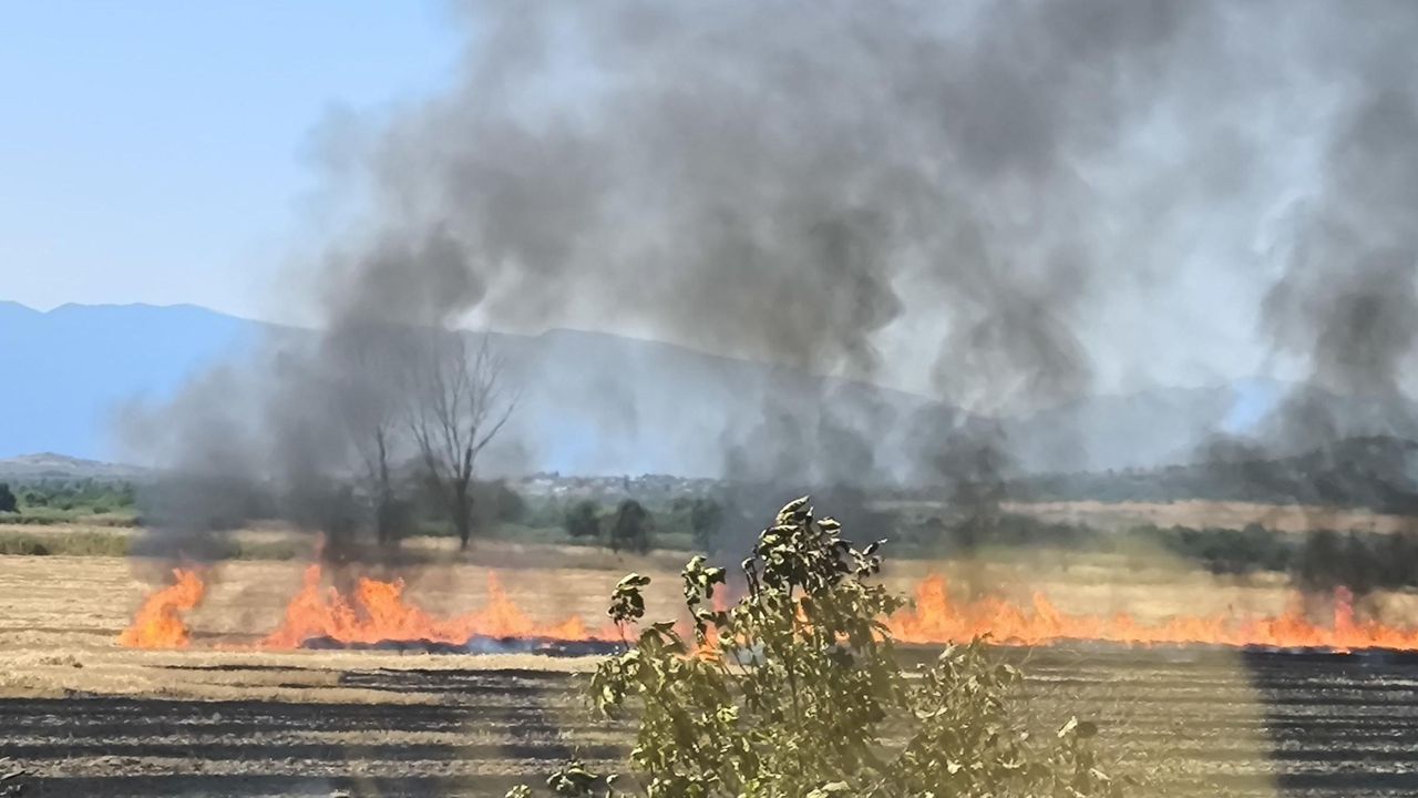Ще приемат заявления за помощи от пострадалите от пожара в Българово