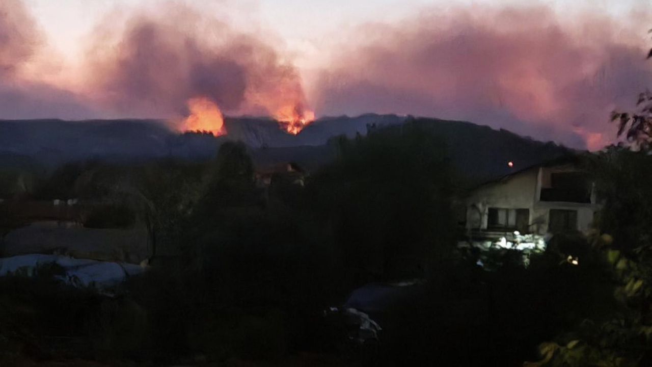 Голям пожар гори край Сунгурларе - Булфото