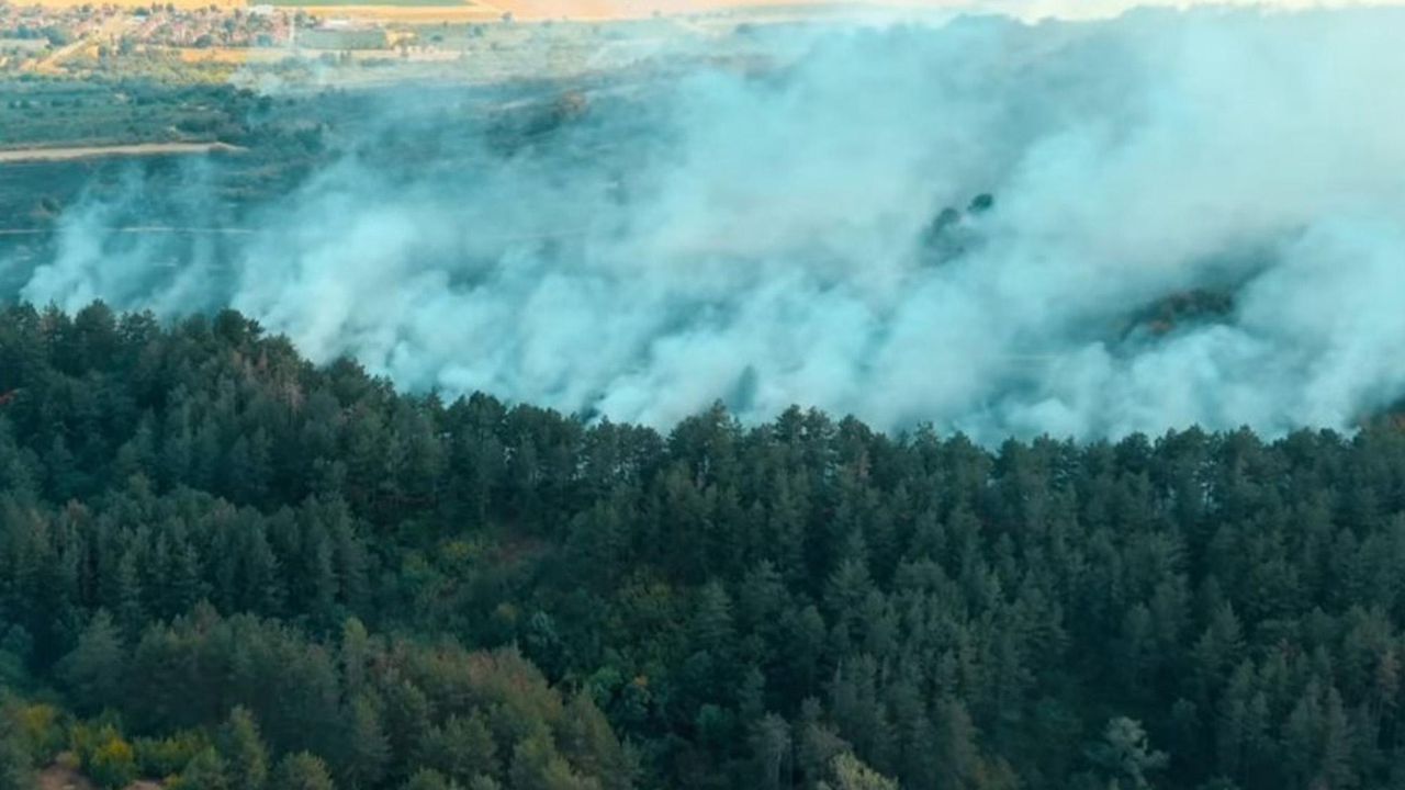 Голям пожар гори край Сунгурларе - Булфото