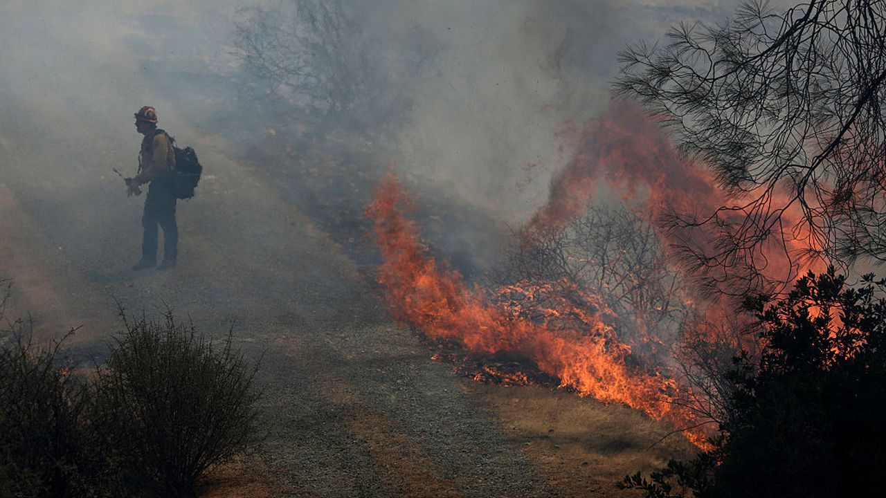 Голям горски пожар в Калифорния застрашава вековни гигантски секвои