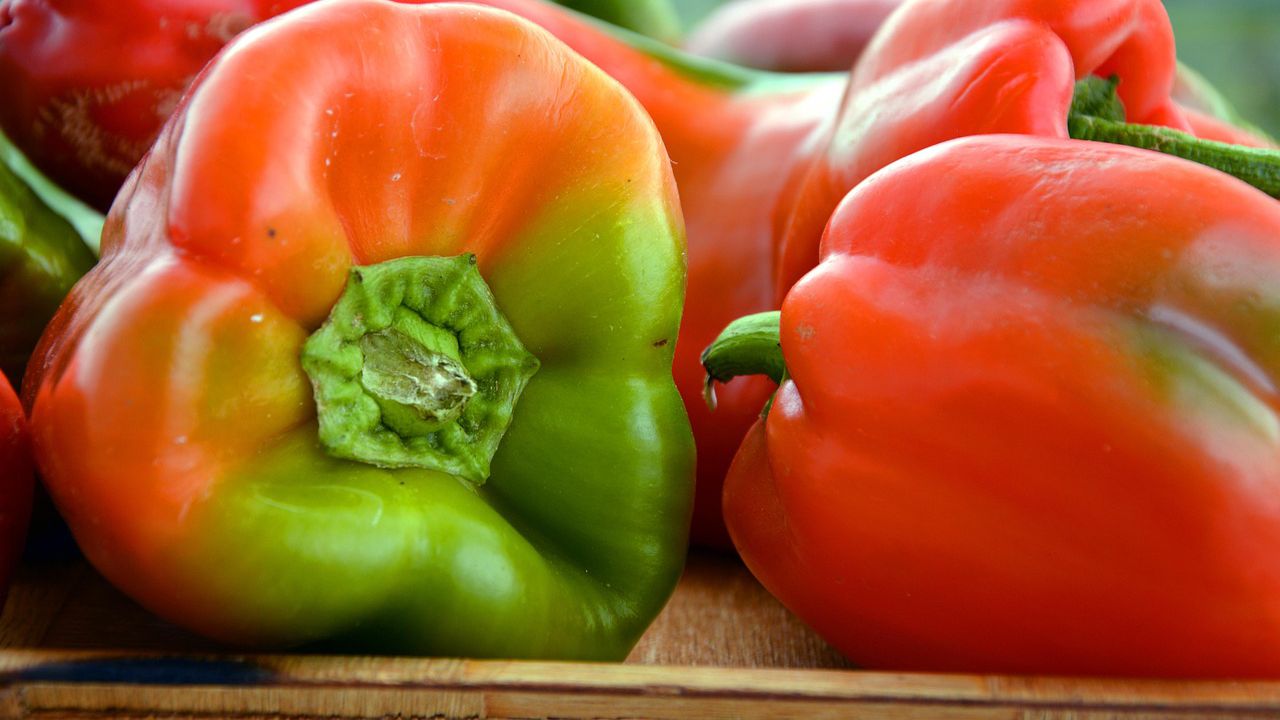 Хърватия изтегли от пазара македонски чушки заради опасен пестицид