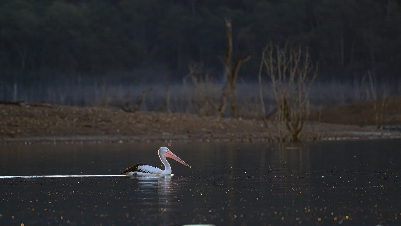 Времето в четвъртък