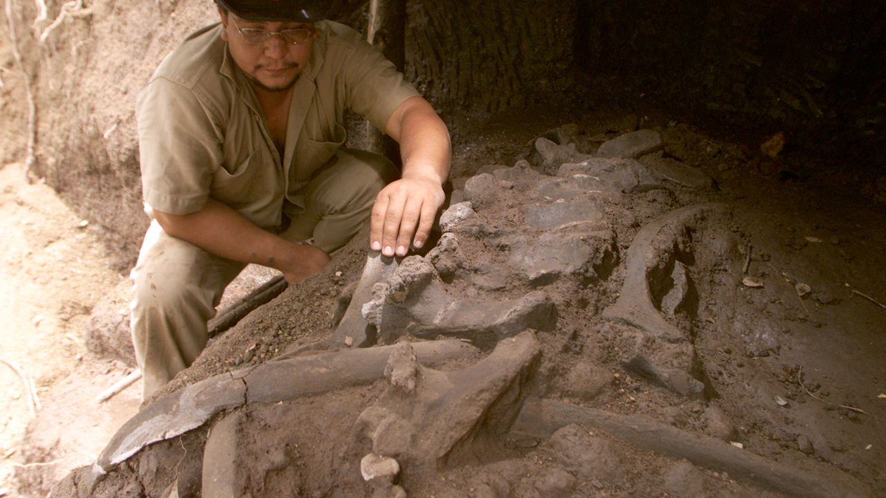 Нов вид динозавър с бодли е открит в Китай от