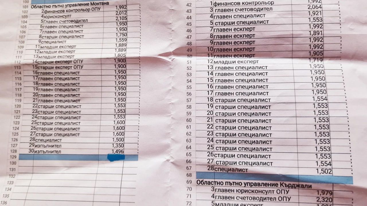 Протест на Дунав мост 2 - Булфото