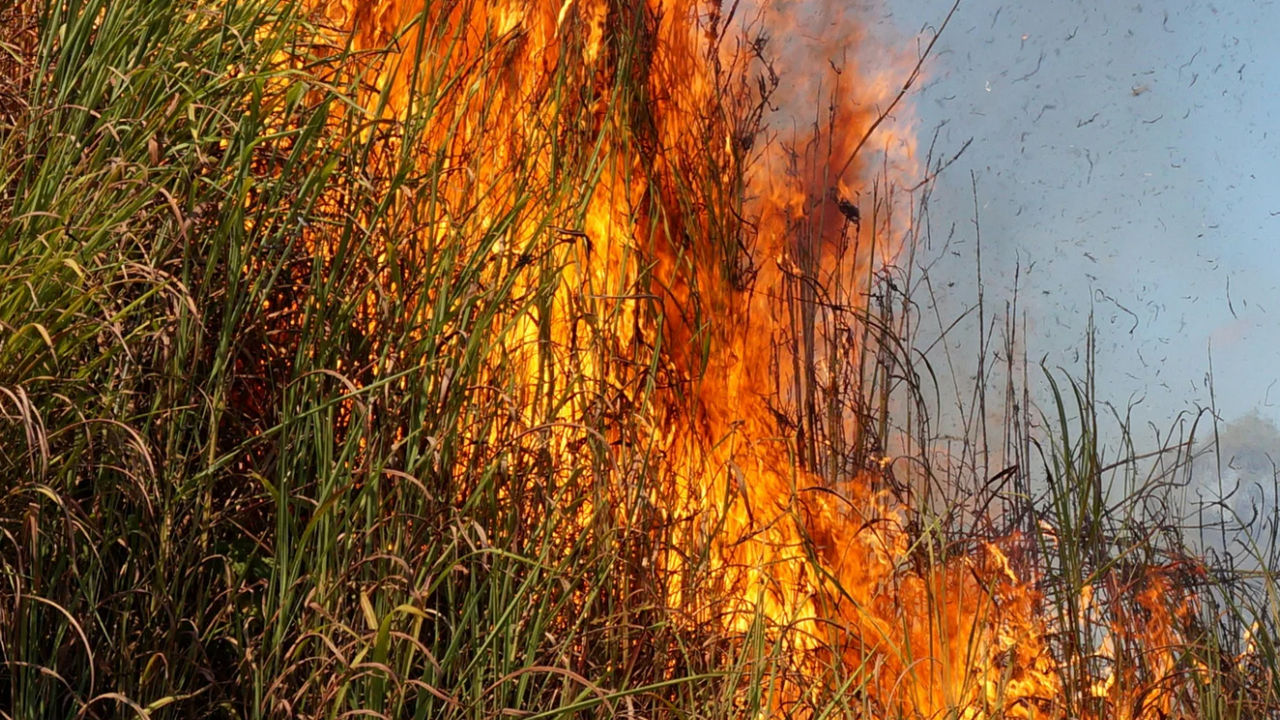 На пътя на изхода от Мизия към село Крушовица е