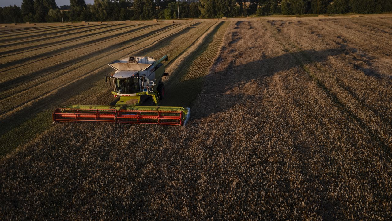 Украйна е ожънала 33 млн. тона зърно през тази година