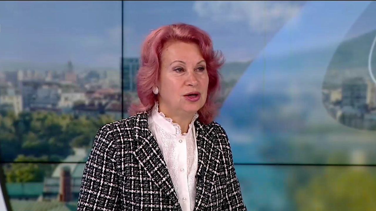 Проф. Ива Христова: Нивата на грип и остри респираторни заболявания са под нивата на миналата година