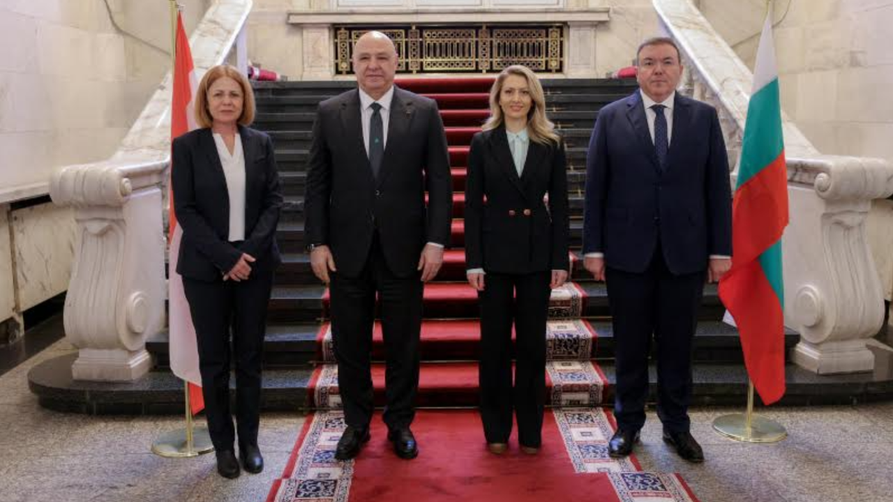 Рая Назарян разговаря с ливанския президент