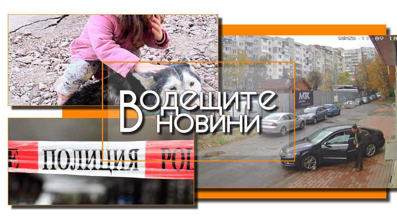 Водещите новини! Виден столичен лекар прегази куче и го остави да умре, бил в неадекватно състояние. Жестоко убийство в Карлово (и още…)
