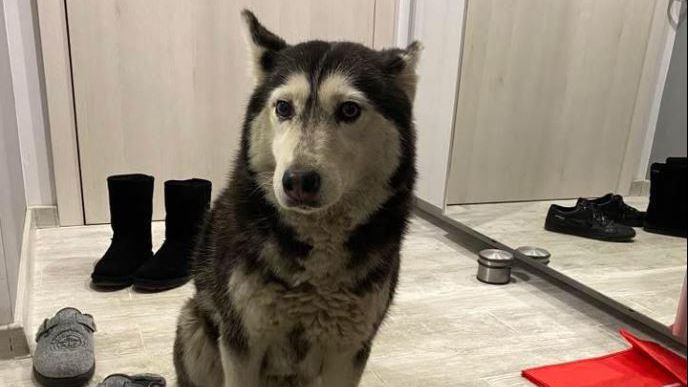 Убиецът на Мая избяга при родителите си