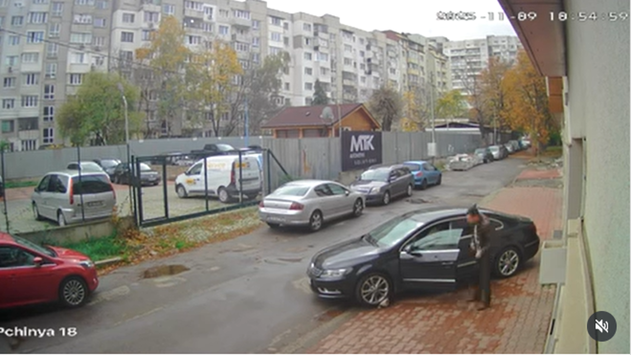 Виден столичен лекар прегази куче и го остави да умре, бил в неадекватно състояние