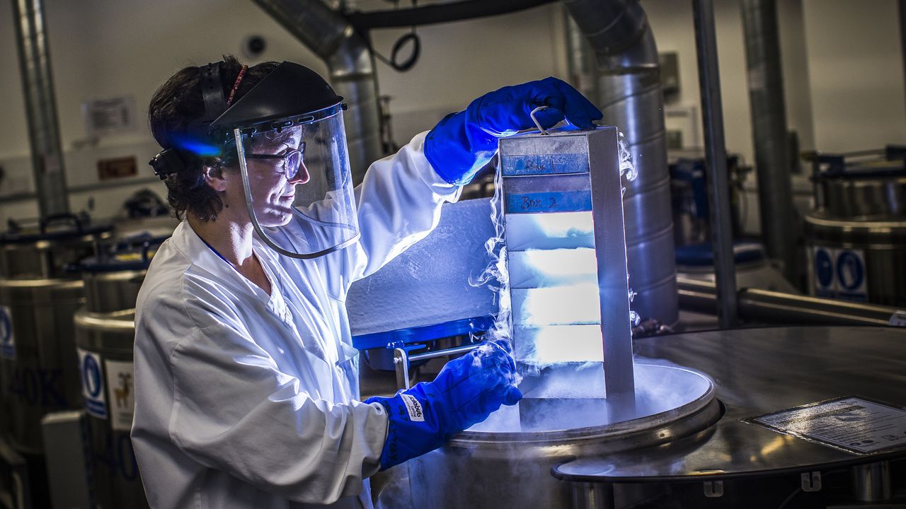 Мутацията засяга гена TP53 и причинява синдрома на Ли-Фраумени. Този