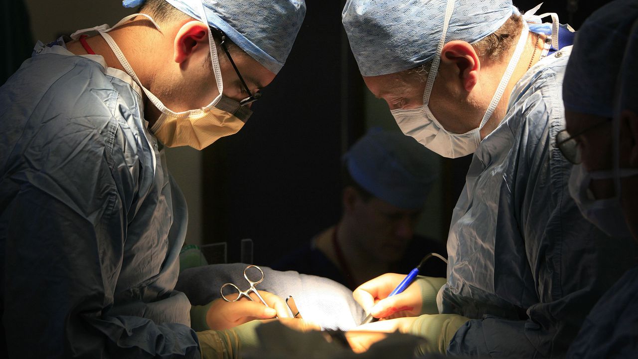 За първи път: Трансплантираха бял дроб от прасе на човек в мозъчна смърт