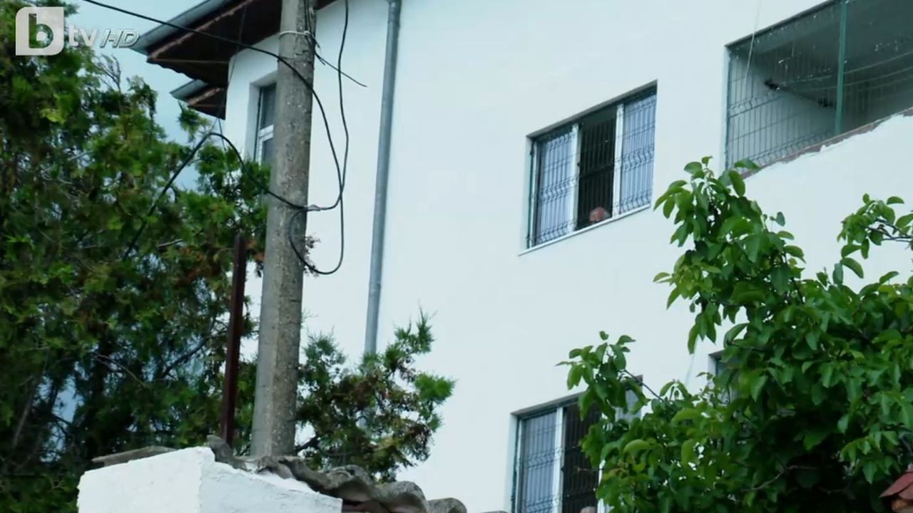 Стаи с решетки. Хора с обръснати глави заради бълхи и