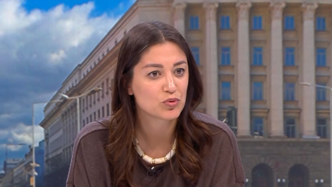 Решението на Конституционния съд за референдума бе съвсем очаквано. Даже